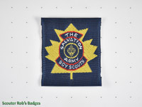 The Salvation Army Scouts [CA 03d]